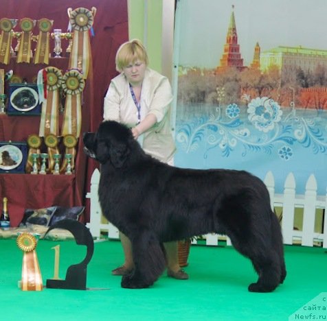 Мирон